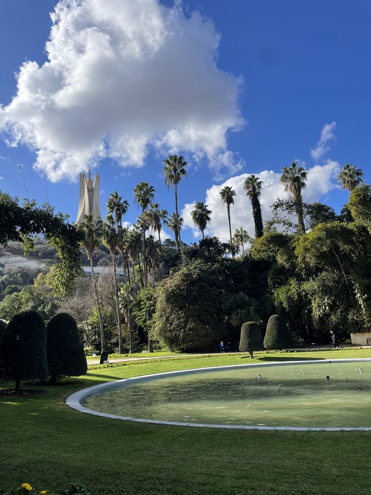 lidya_Benmehdi's tweet photo. Jardin d'essai du Hamma, Alger https://t.co/jPjub49q3l