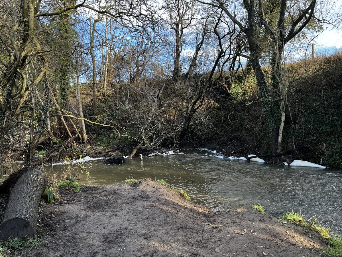 ajaneyc's tweet photo. ⁦@EnvAgency⁩ ⁦@YorkshireWater⁩ any idea what this is in Crimple Beck at Pannal today (the stretch behind the church)? Something seems to be very wrong upstream #water #environment https://t.co/qSZ3UiJ5xF