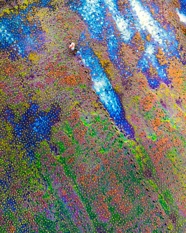 The work behind every grain of rice.