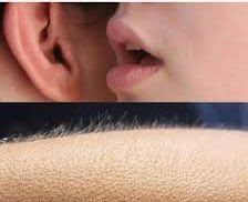 😚pitchers and catchers report next week