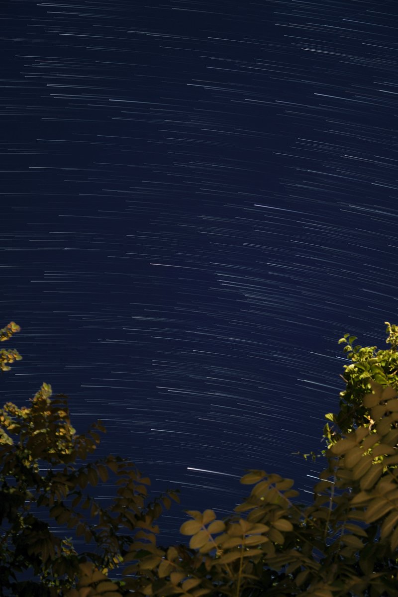 Javier Bórquez tweet media