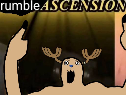 Tony Tony Chopper. tweet media