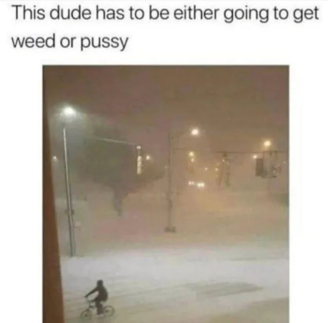 Stoner Barbie (@stonersvilla) on Twitter photo 