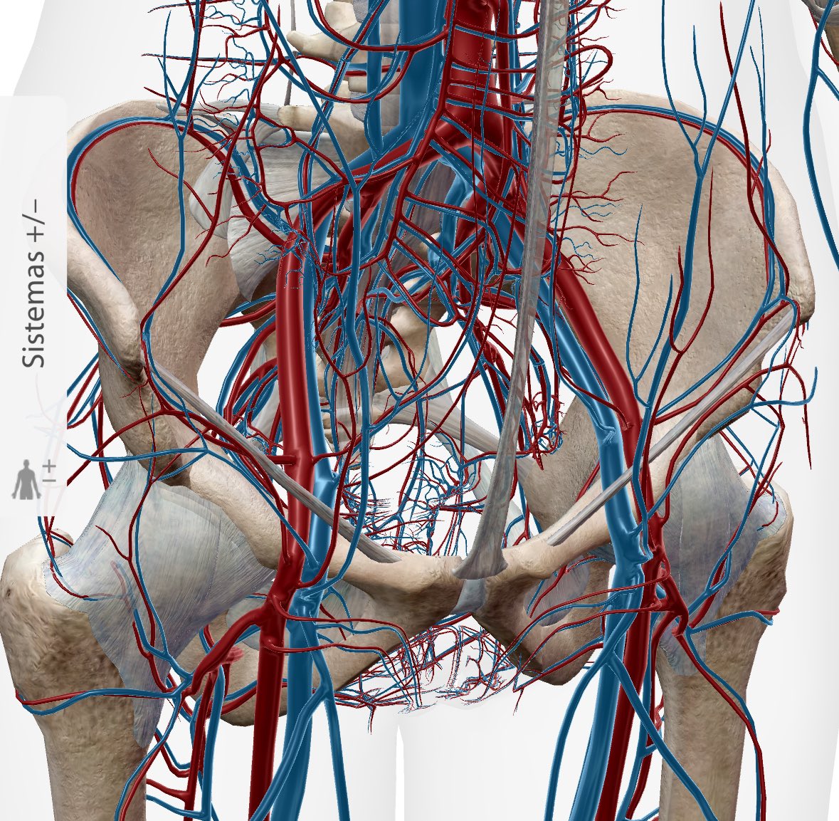 DiarioTES - Javier G. Rendo tweet media