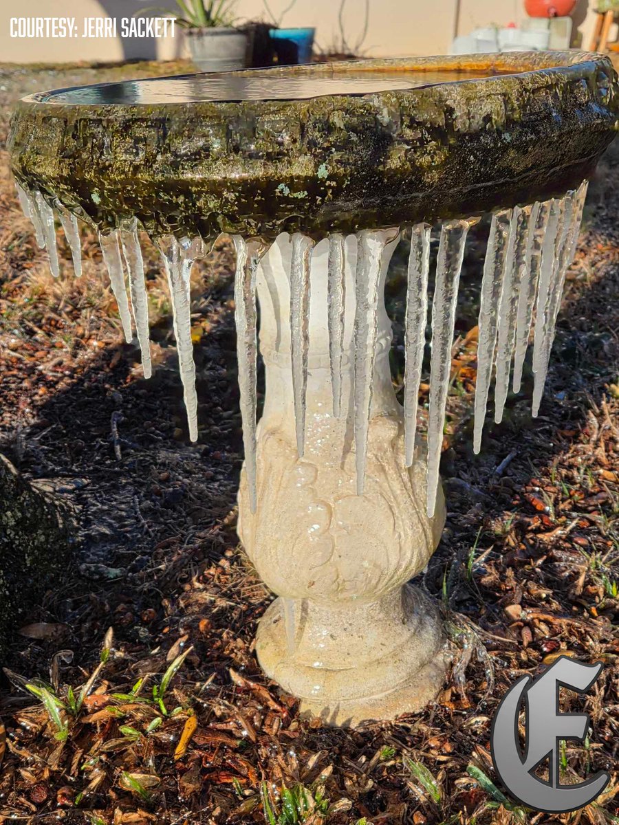 ❄️🥶 WOW!! Frostproof, FL

Courtesy: Jerri Sackett