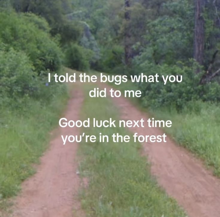 colligocritters's tweet image. 