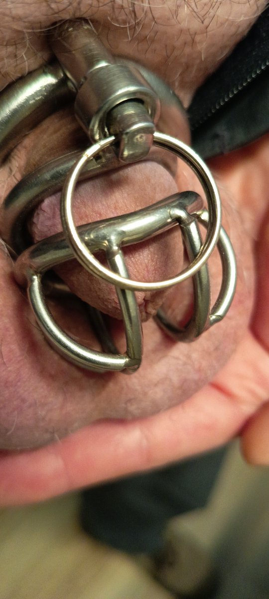 Enzo_2026's tweet photo. A la pequeña nena Esmeralda @Tele_Prueba le gusta estar y vivir enjaulada. Pero necesita una jaulita más pequeña. ¿Qué os parece?
#chastity #chastitysub #chastitycage #cagecontrol #ForbiddenFebruary #teamlocked https://t.co/EkJgvE3P6J