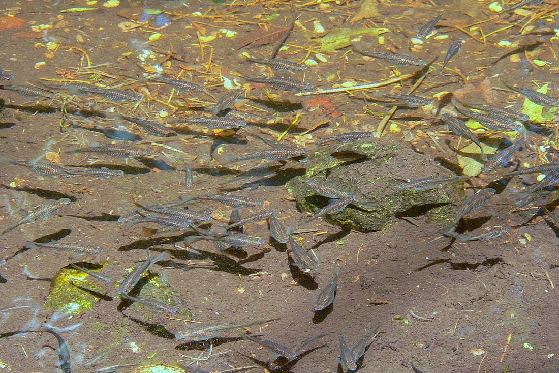 Robin Boardman tweet media