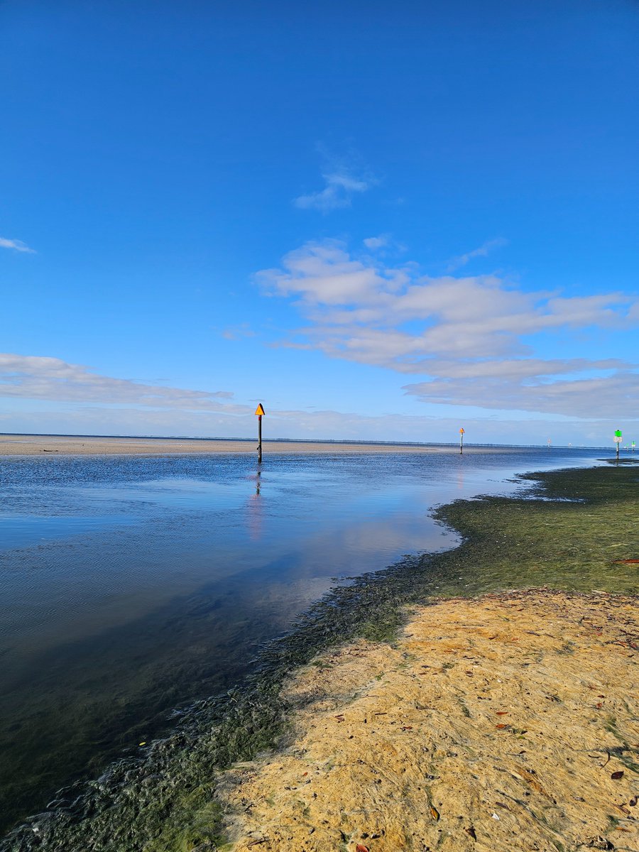 SWF_Sapper tweet media