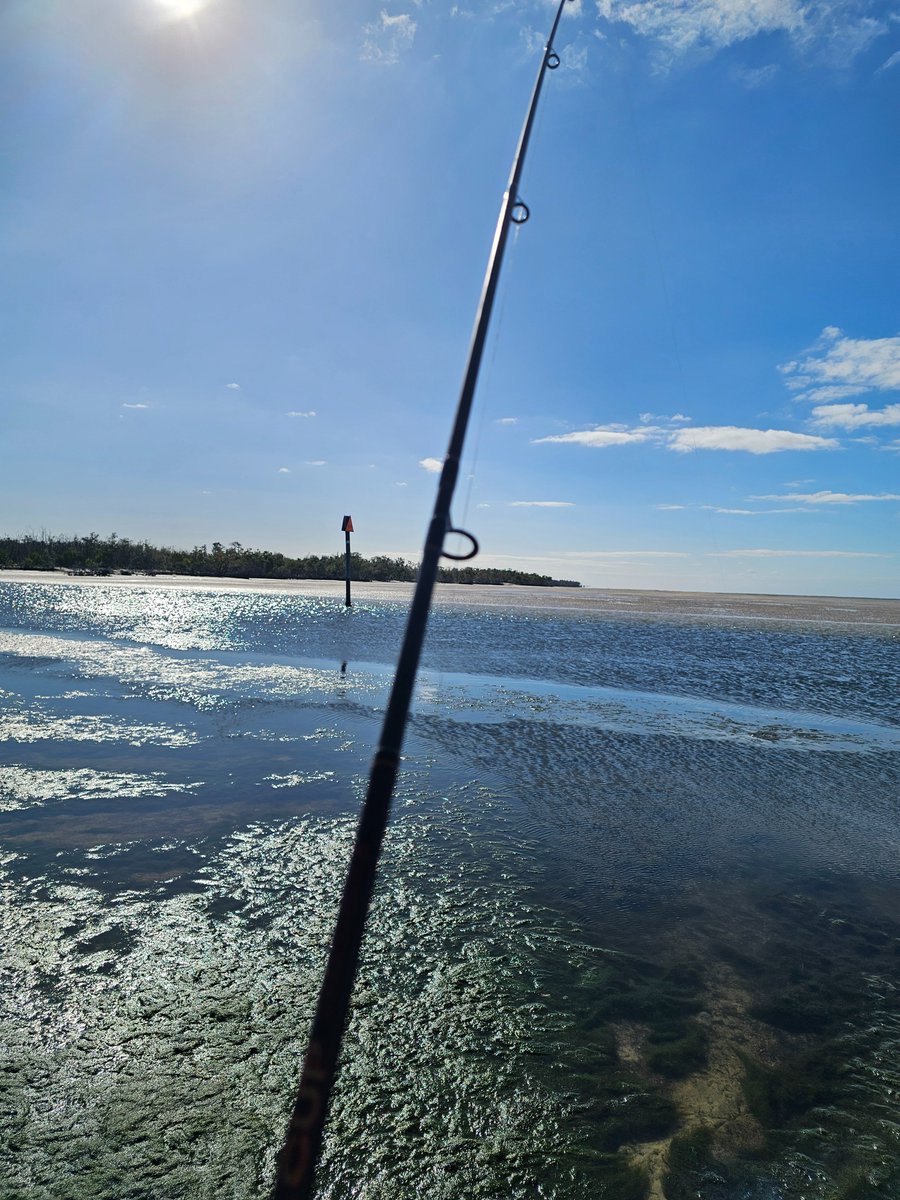 SWF_Sapper tweet media