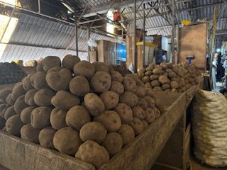 Biotech Potato tweet media