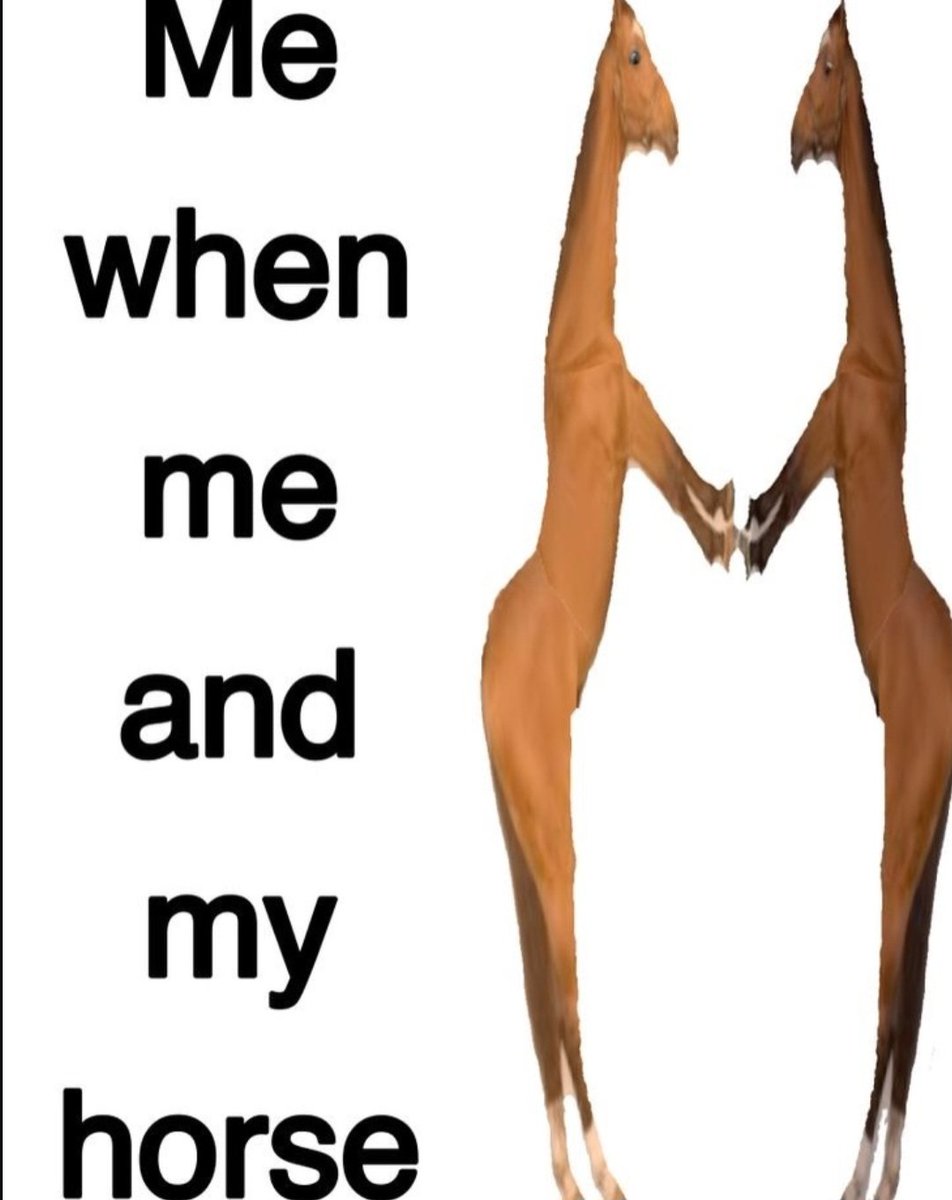 horsetwting's tweet image. this cld b us