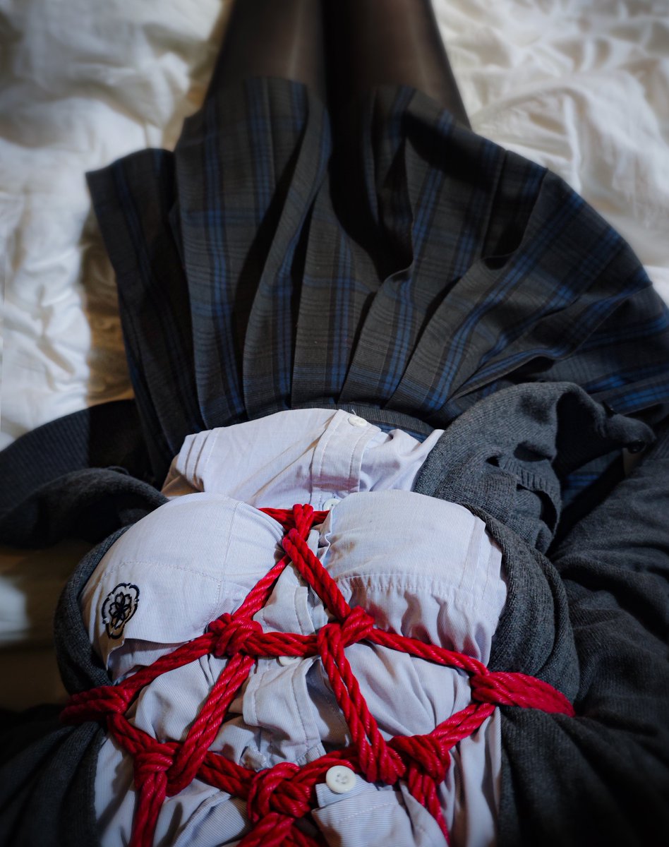 叮当猫 tweet media