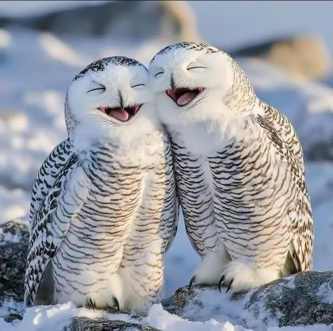 Photographer (@photo5065) on Twitter photo 