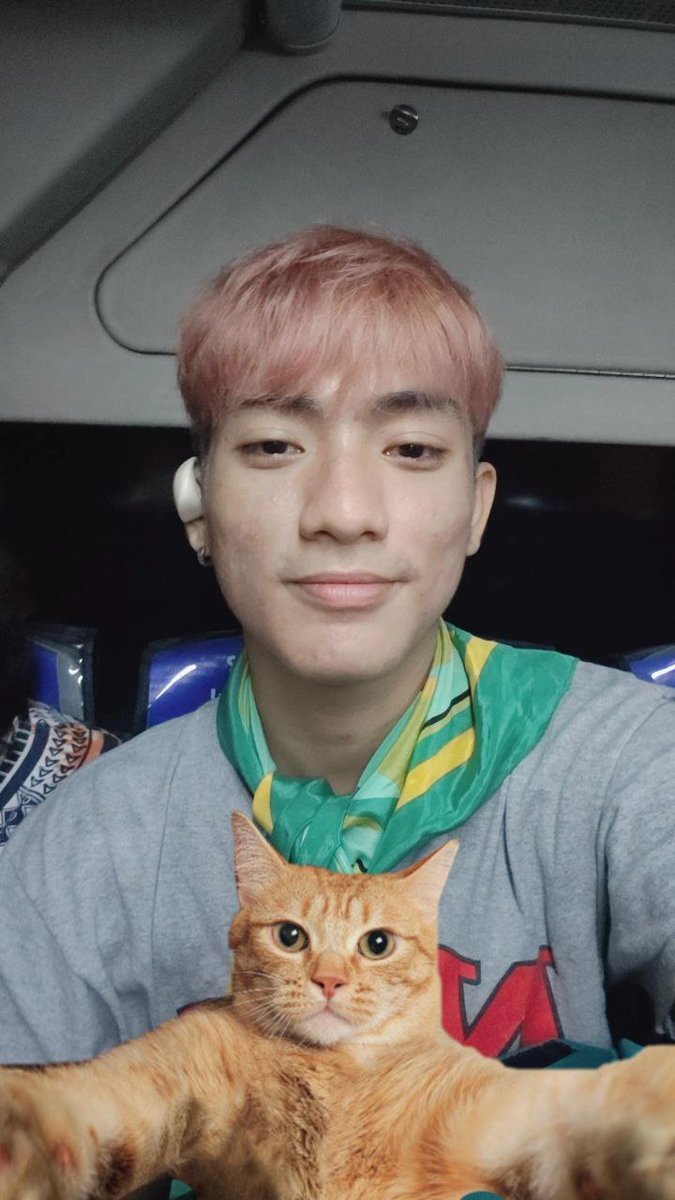 neko🧡 tweet media