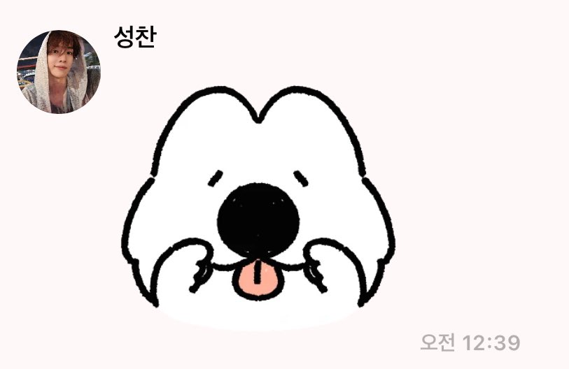 성찬 닮은 하얀 강아지 이모티콘 자주 쓰는 거 너무귀여워