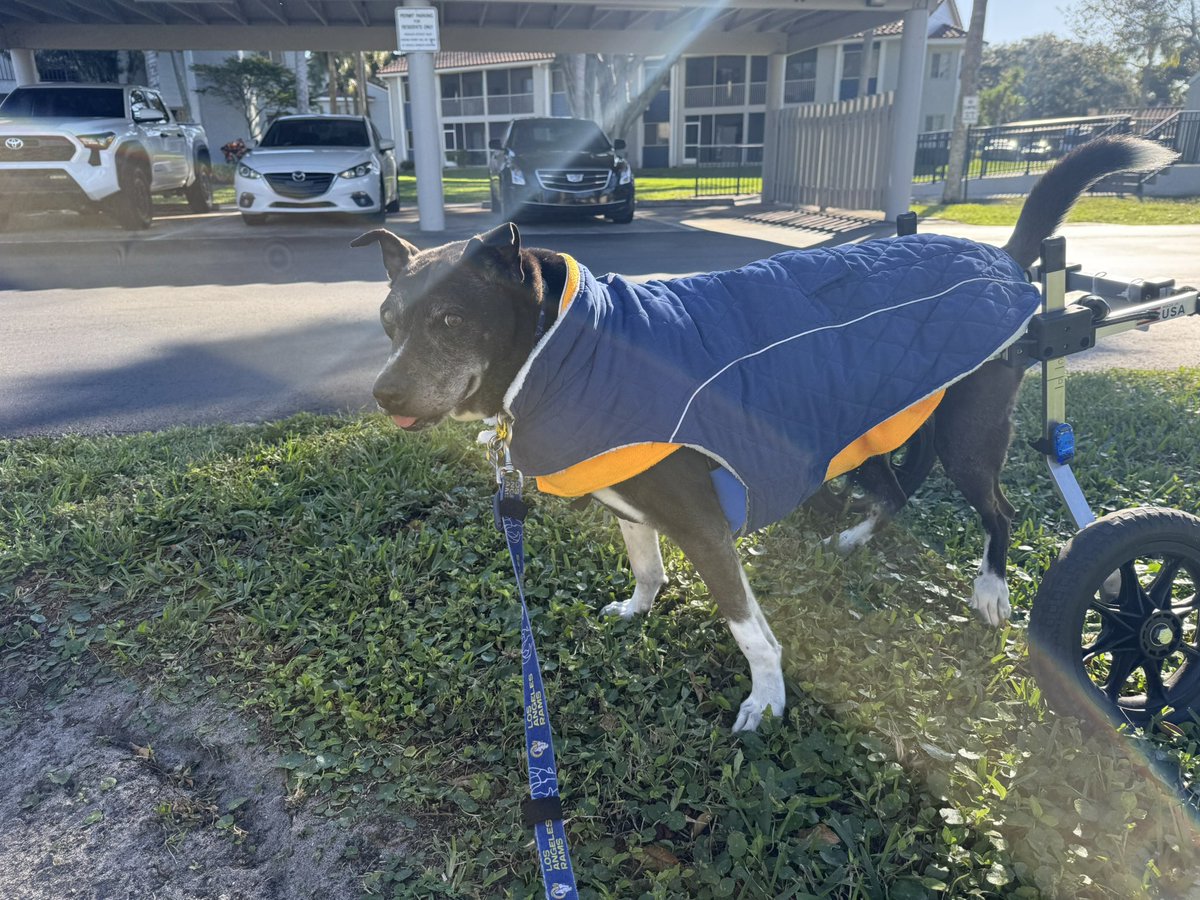 kat 🇺🇦🇻🇮 tweet media