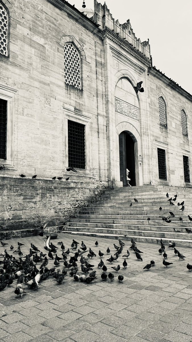 irem (@miniknilufer) on Twitter photo 