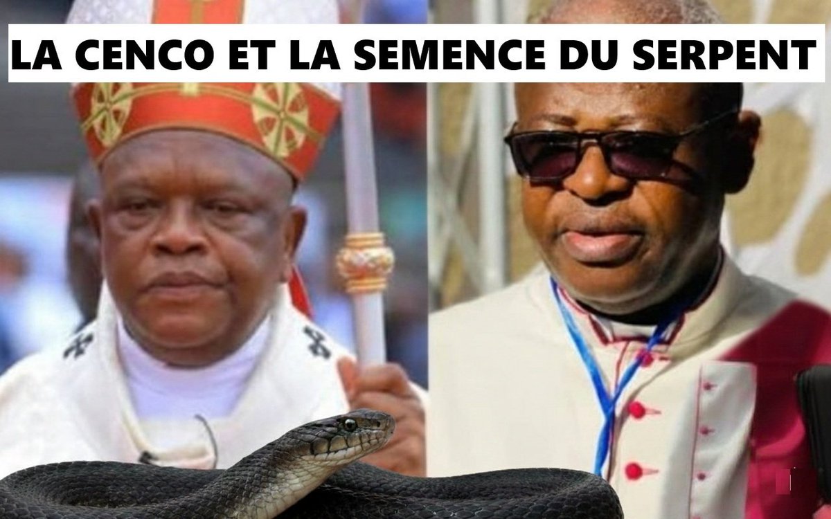 HistoryCongo's tweet photo. L'église catholique en #RDC: une vraie catastrophe !
👉 https://t.co/DFljyywKG0
Entre trahison, inconscience, défense d'intérêt étrangers et mépris du peuple congolais et de ses intérêts, la @CencoRdc est une coquille vide et une organisation qui ne mérite aucune considération ! https://t.co/WcvxIrPvpy