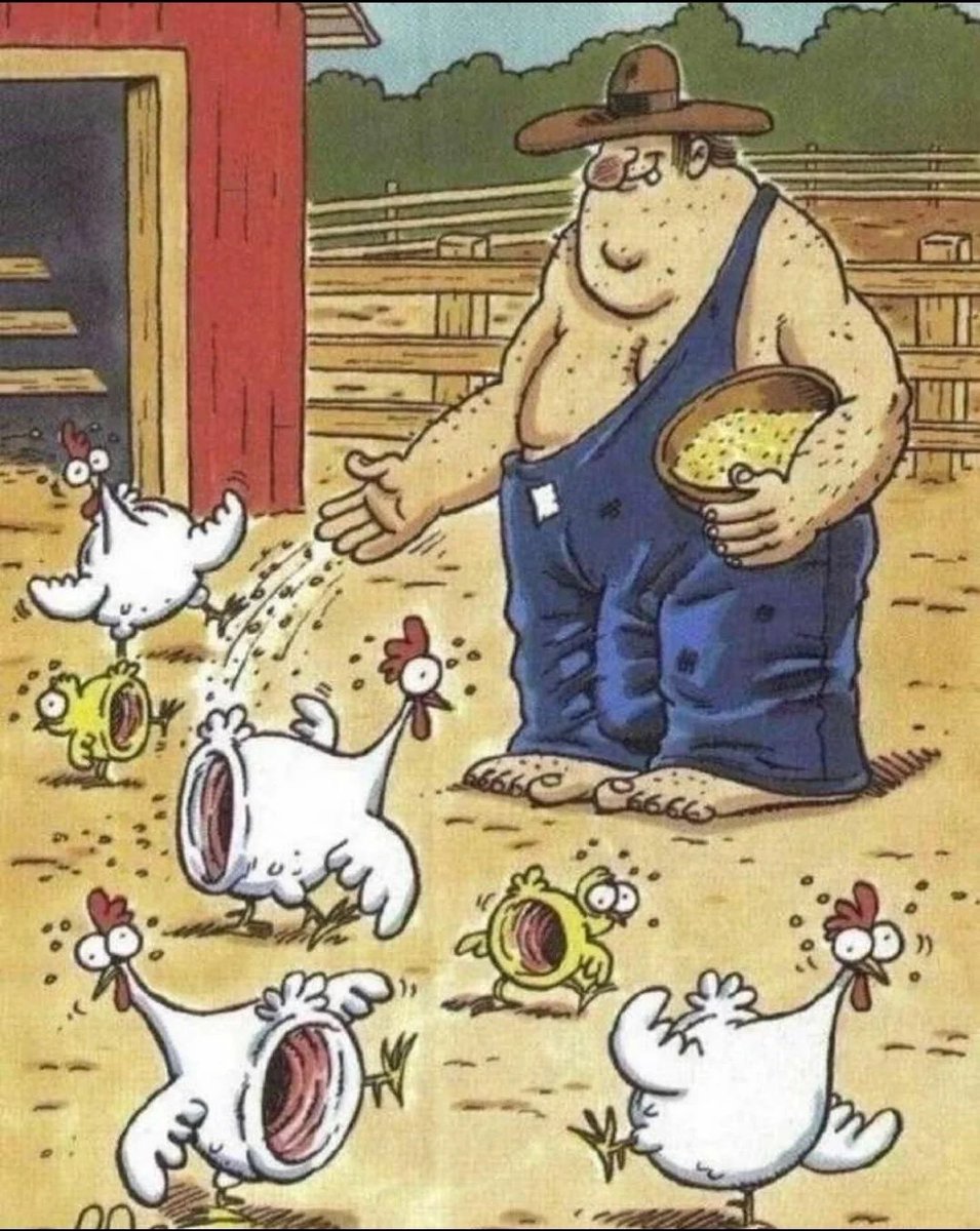 HowlingMutant tweet media