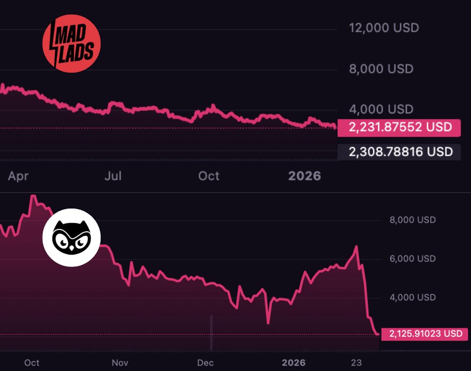 fabiano.sol tweet media