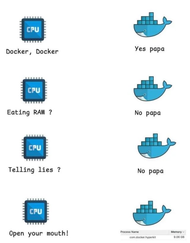 The Crazy Programmer tweet media
