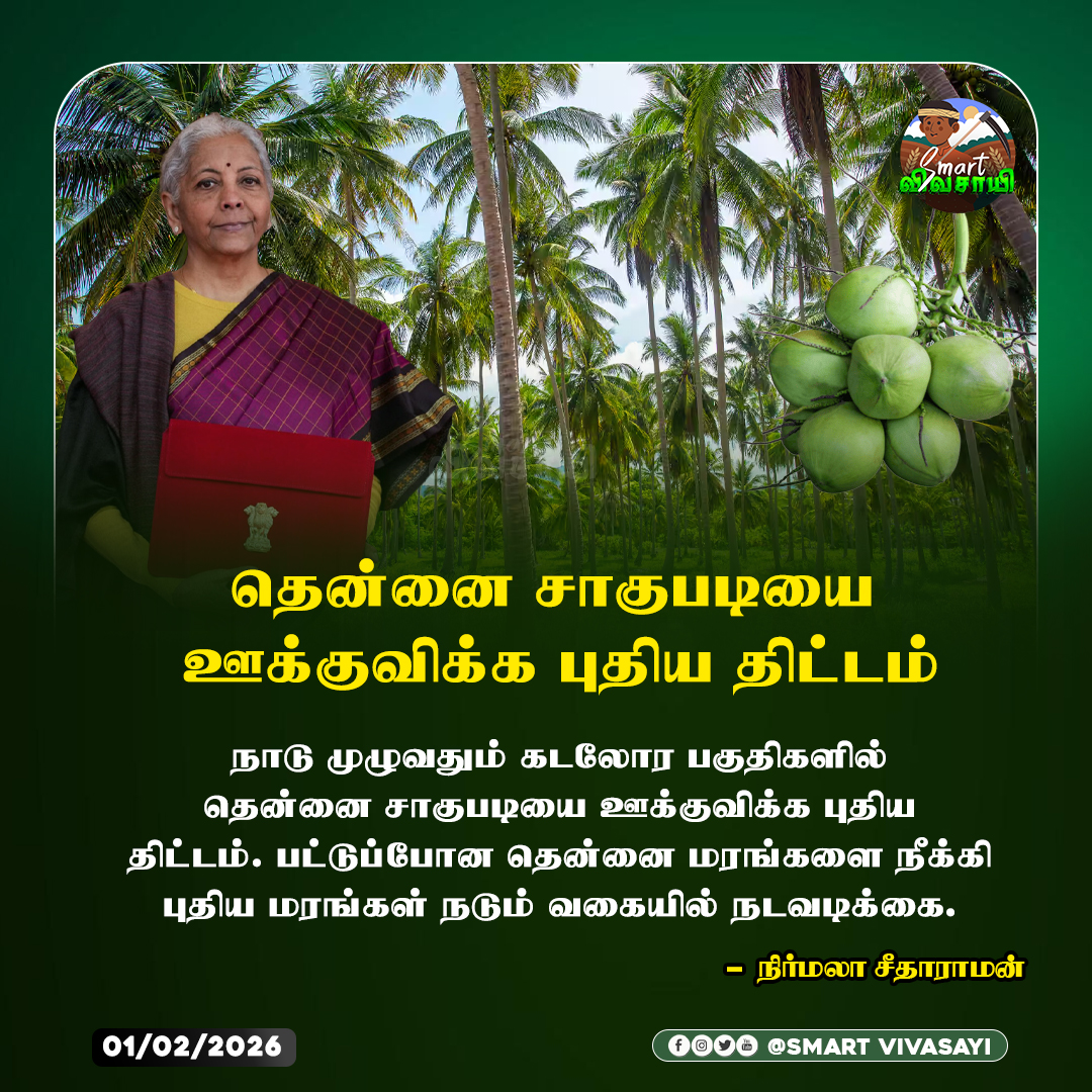 smart_vivasayi's tweet photo. தென்னை சாகுபடியை ஊக்குவிக்கும் புதிய திட்டம் 🌴
கடலோர பகுதிகளில் உற்பத்தியை அதிகரிக்க அரசு நடவடிக்கை!

#CoconutFarming #TennaiSagubadi #AgricultureScheme #FarmersWelfare #TamilAgriculture #AgriNews #RuralDevelopment #TamilNews https://t.co/XWdE8IlHit