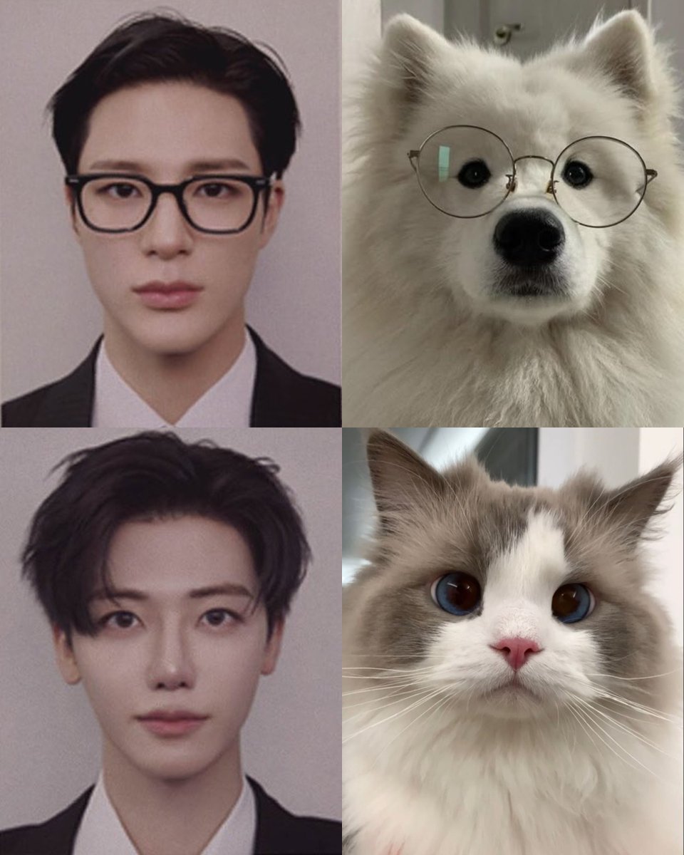 สายลับพ้อมปลอมตุว 😎🐶🐱

NCT JNJM IS COMING
#NCT_JNJM #BOTHSIDES #NCTJNJM_BOTHSIDES