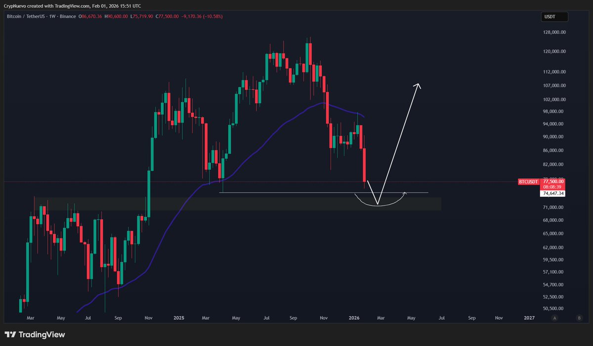 CrypNuevo 🔨 tweet media