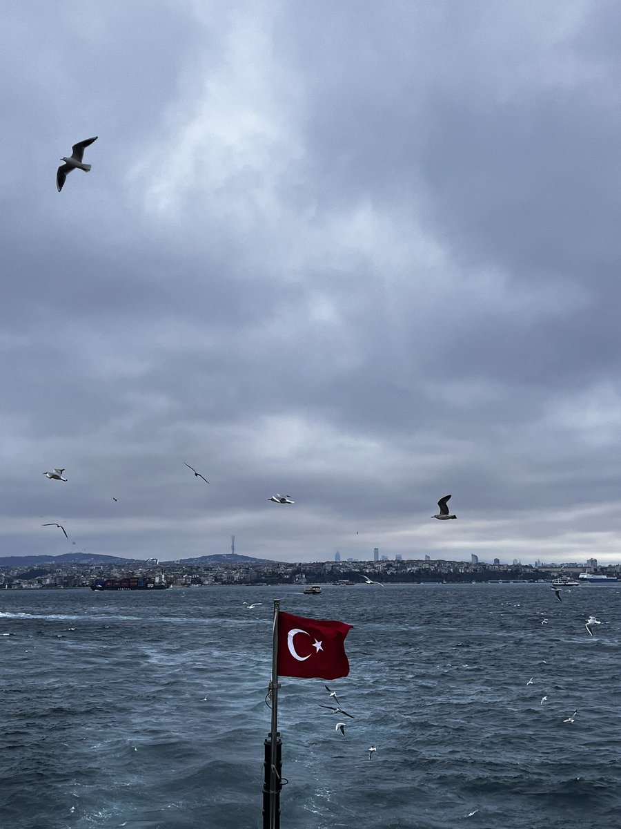 irem (@miniknilufer) on Twitter photo 