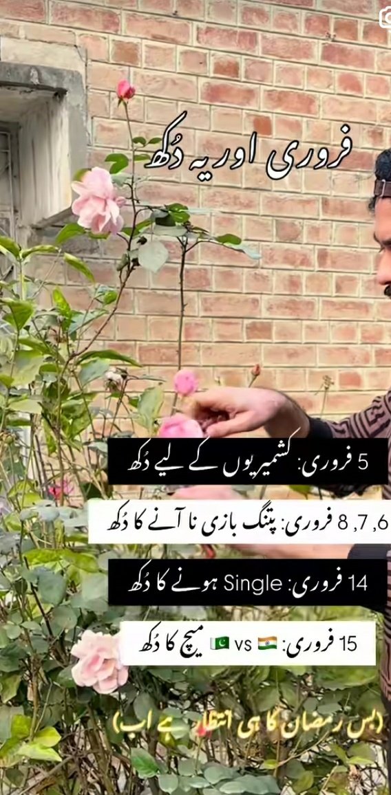 S.Shah taj tweet media