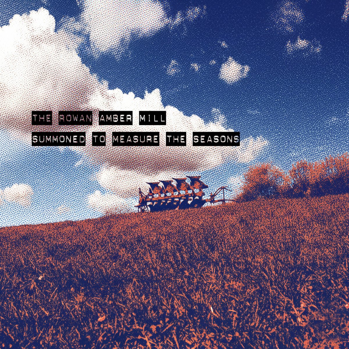 The Rowan Amber Mill tweet media