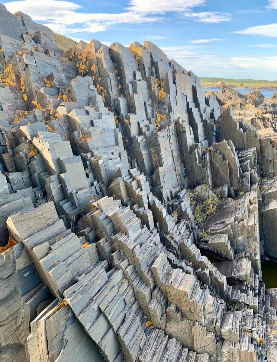 The experts tell us that these are "layered shale cliffs." They are located in  Small Point-Adams, Newfoundland.

Melted and/or Petrified remains of what exactly? 🤔