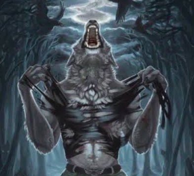 IanFans Brasil tweet media