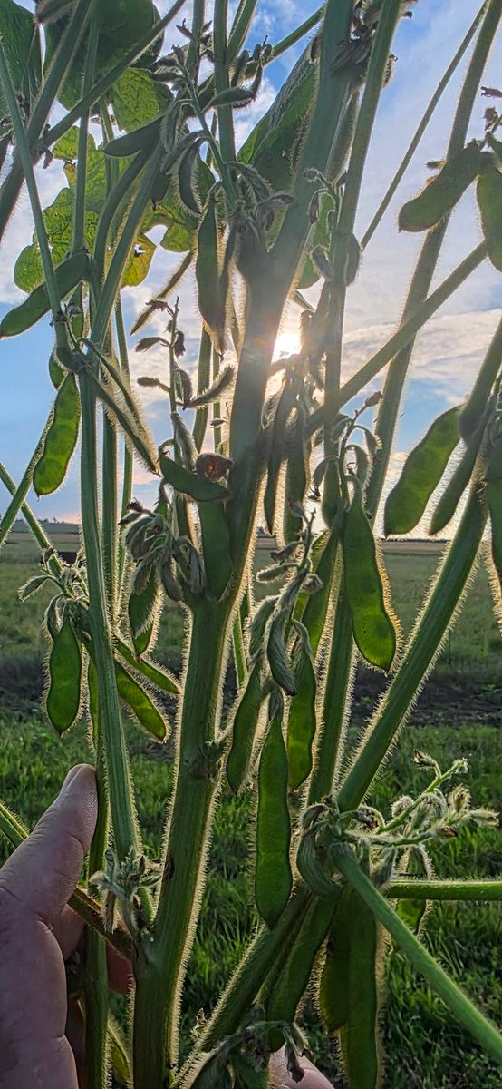 Danie Bester tweet media