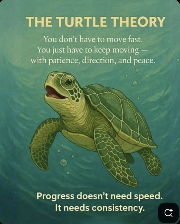 POSITIVITY (@positivitysaid) on Twitter photo 