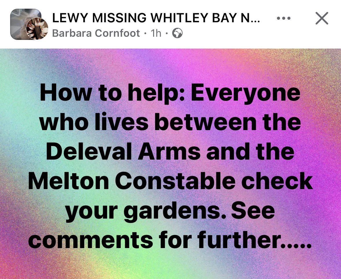 rosiedoc666's tweet photo. Lost #OldHartley CARPARK #SeatonSluice #Northumberland 🆘 
Pls EVERYONE CHECK YOUR GARDENS/GARAGES watch carefully in bushes while on walks LEWY is missing and will be so scared 30/1/26 #WhitleyBay 🆘 
https://t.co/bRIrg90Tg1
#StolenDogHour @whitleybayhols @WhitleyBayHotel https://t.co/HwmM6mXAvl