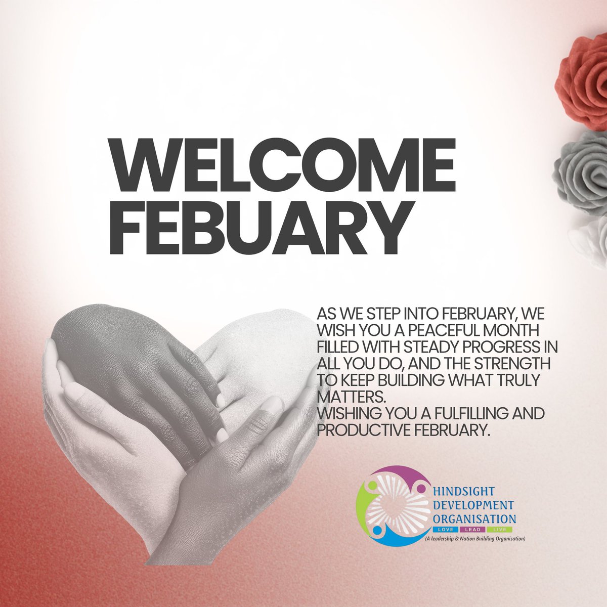 The HINDSIGHT DEVELOPMENT ORG. tweet media