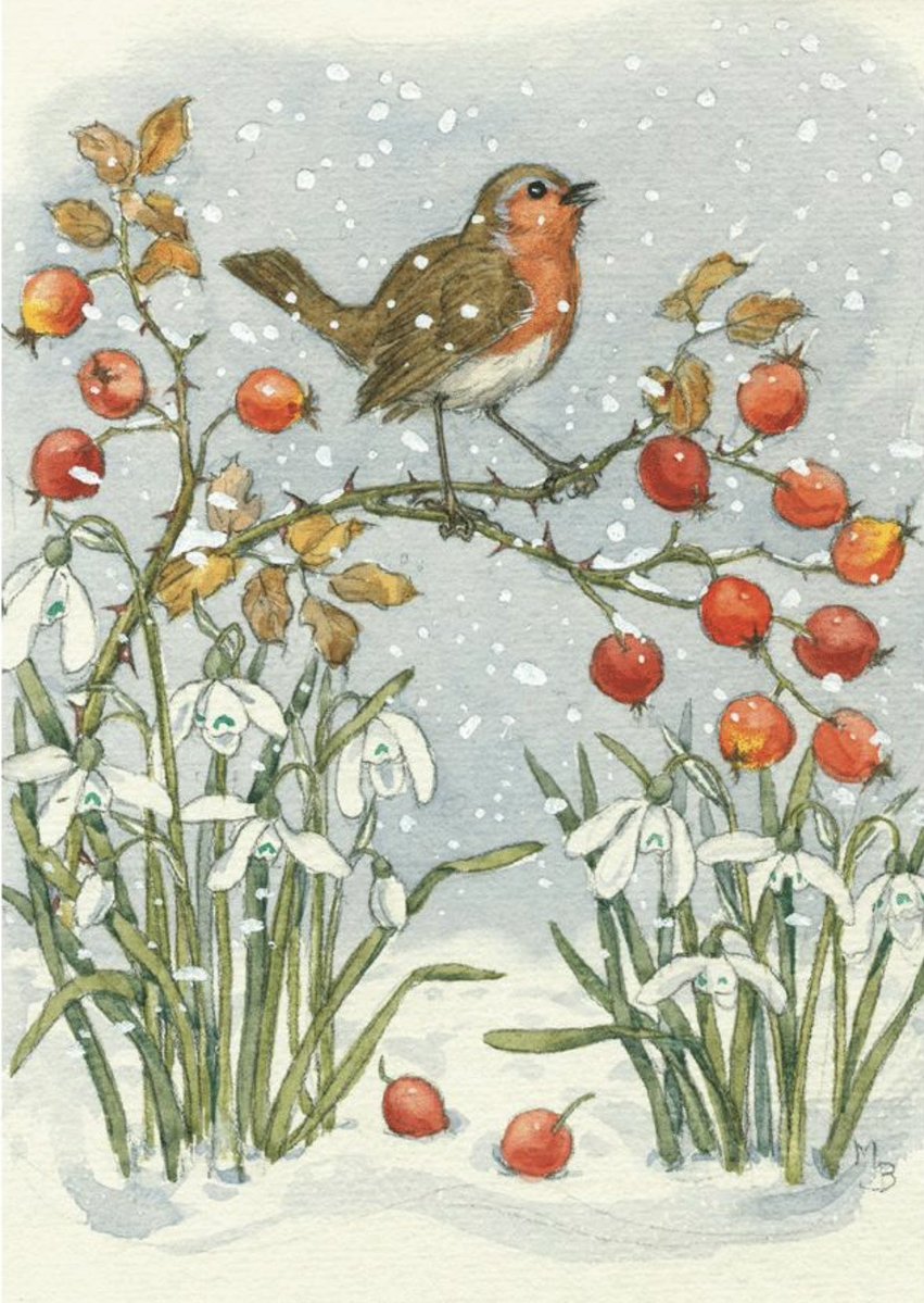 Robin and snowdrops by illustrator Molly Brett (1902-1990)