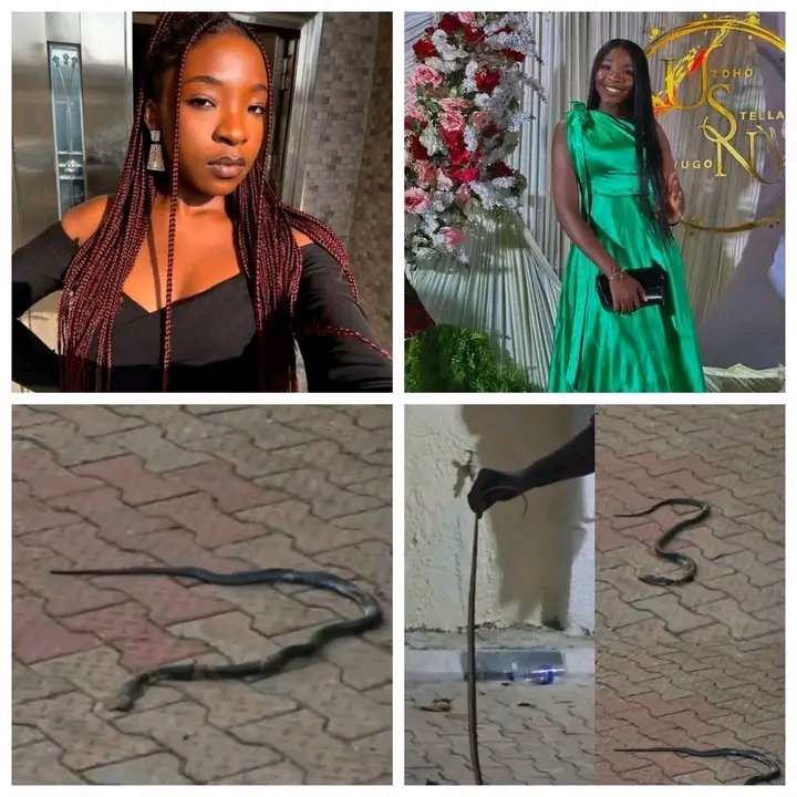 Snake bite is common in rural areas but dying is very rare, but someone was biting by a snake in the city where there are hospitals, yet she didn't survive. 
Even my older brother has been bitten by a snake before. This isn't about having Antivenom.