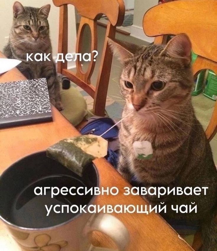 Кстати пока была в отпуске, я буквально чуть ли не каждый час пила чай. Теперь не знаю как буду на работе работать БЕЗ ЧАЯ

Буду кричать на своих коллег, говоря ВРЕМЯ ЧАЯ, МЕНЯ НЕ ТРОГАТЬ🤭😂