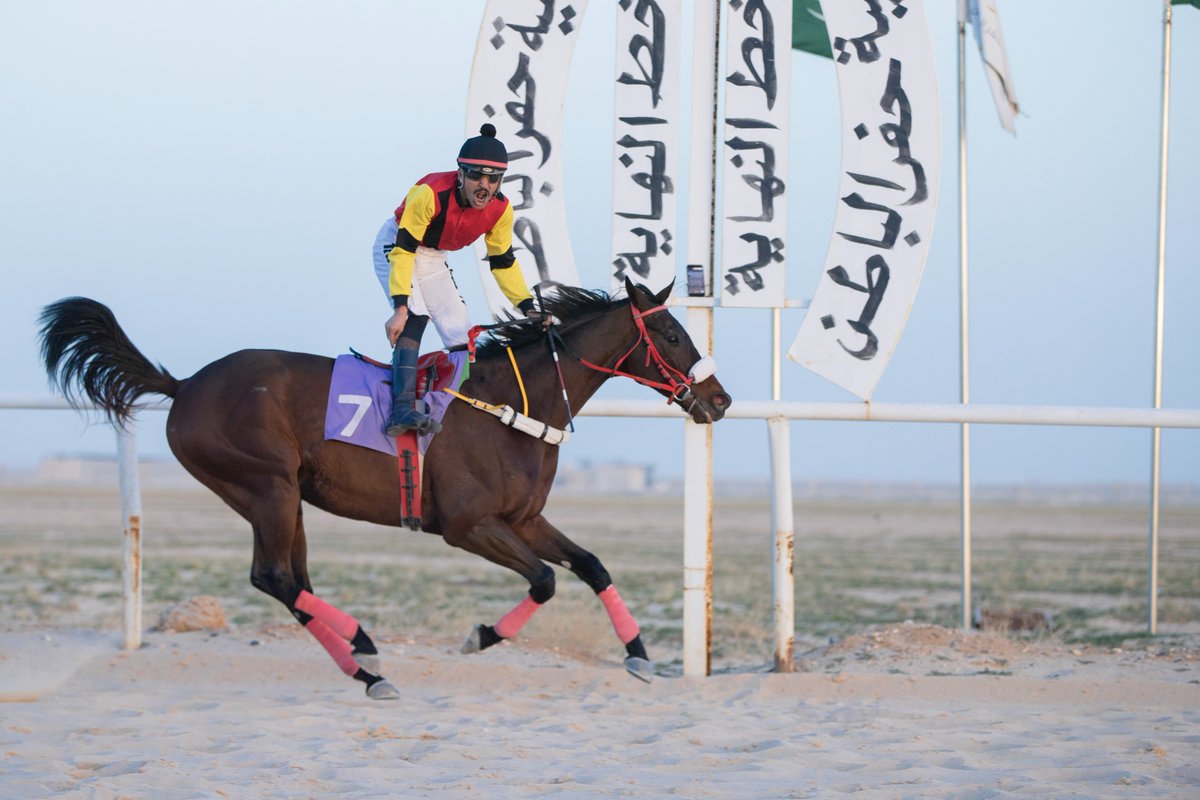 ميدان فروسية حفر الباطن tweet media