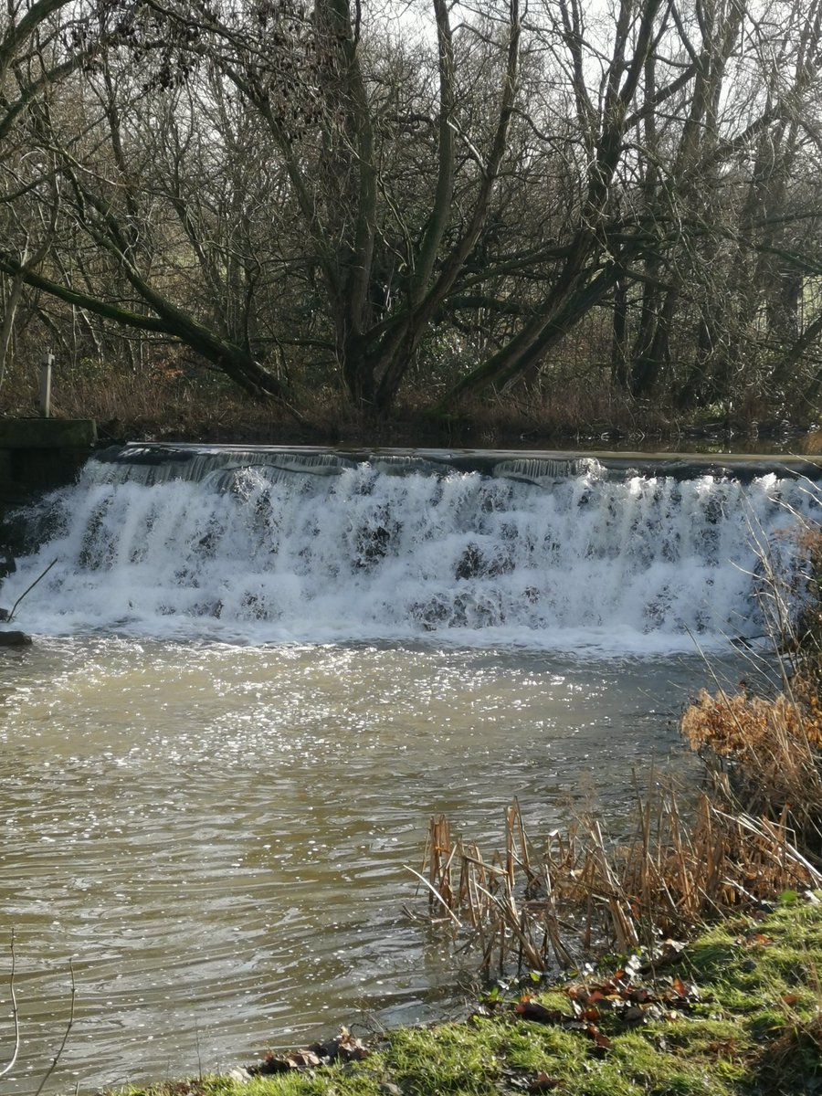 tommo5458's tweet photo. Hint of spring today at cannon hall. https://t.co/diTXVoVQtr
