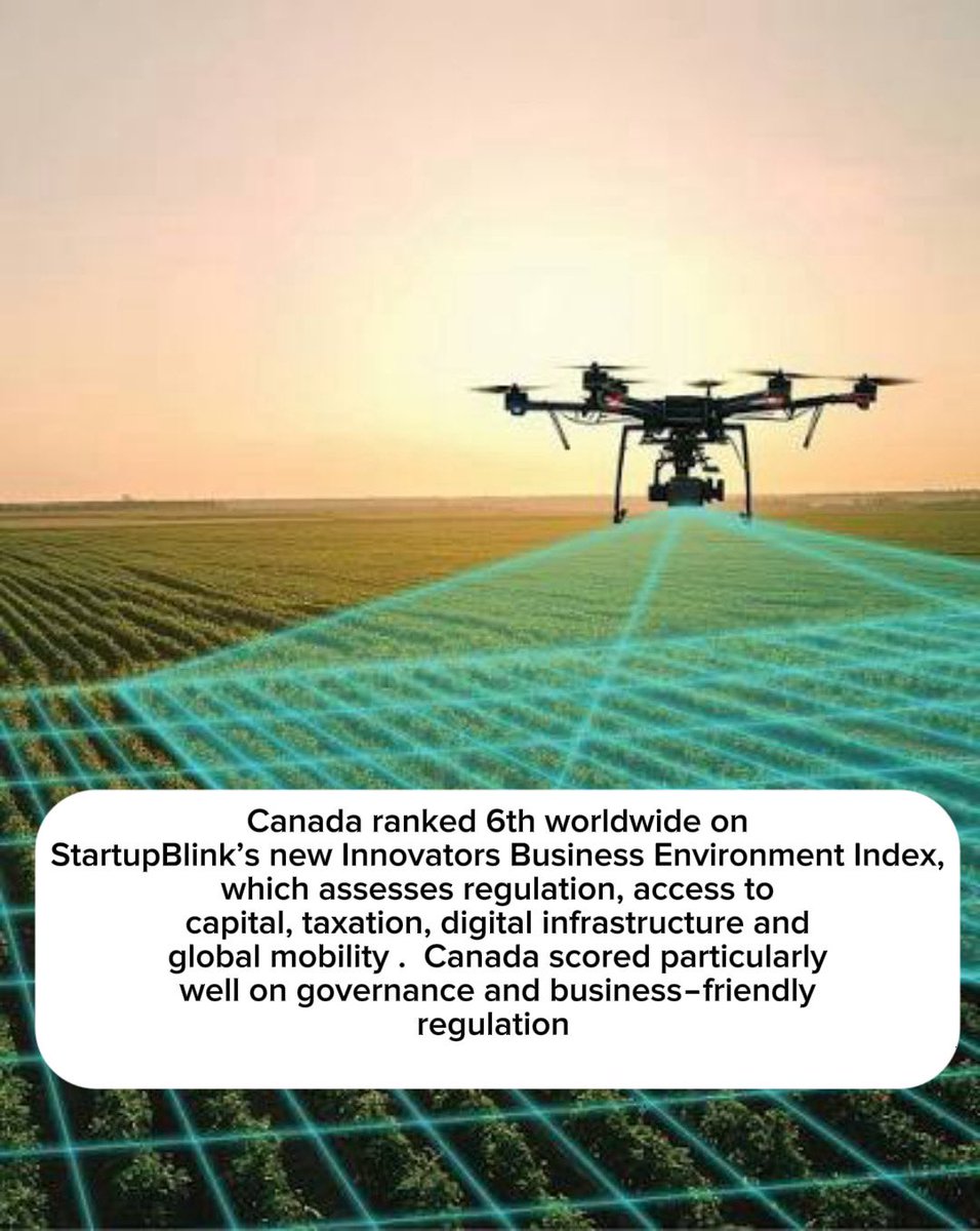 Ali Salman | Global Franchise Authority tweet media