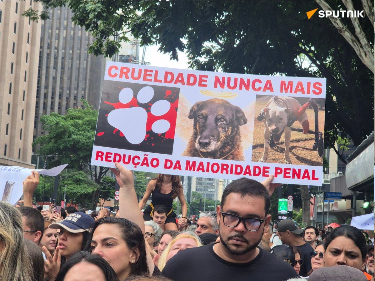 Tumulto BR tweet media