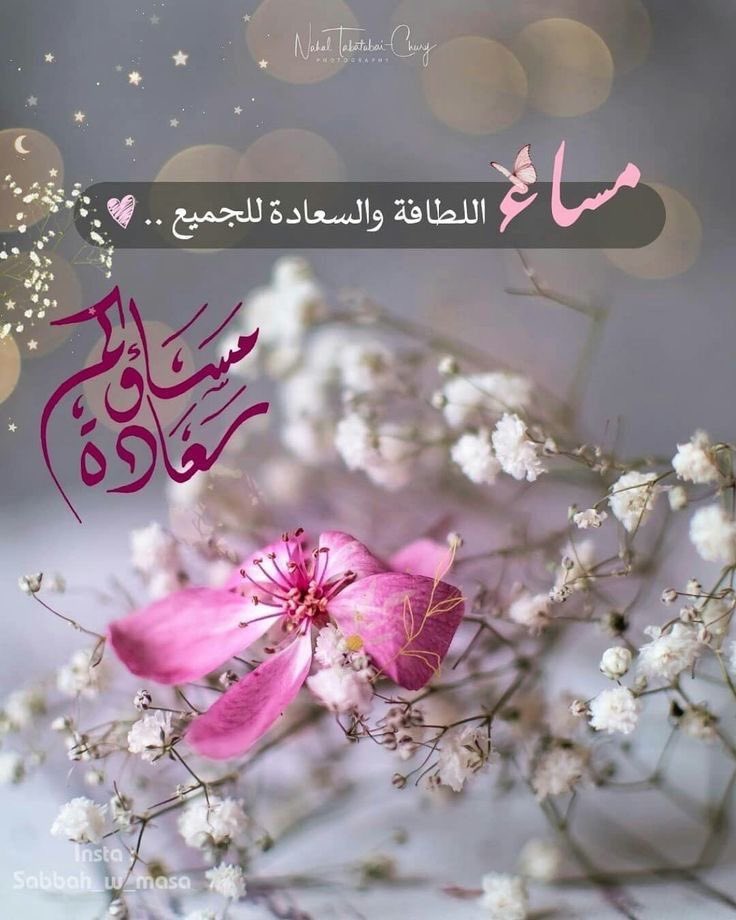 ذي يزن الخطيب tweet media