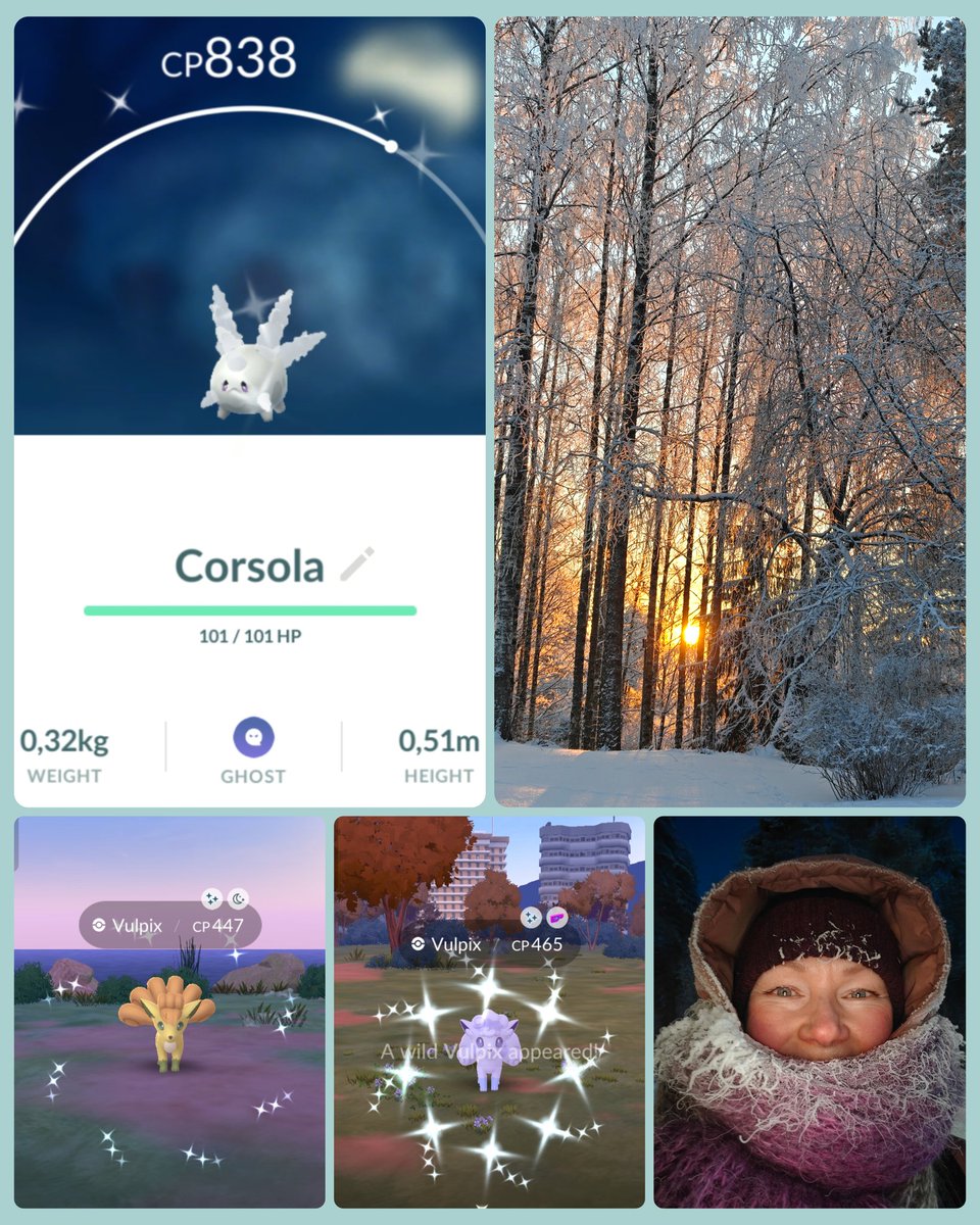Played all 3 hours. 19 shiny Vulpix today, but bonus shiny made my day. The first ever sparkling Galarian Corsola! ✨🤩✨🤩 
Didn't mind the the cold weather (-23°C). Hand warmers are so good invention both hands and phone 🤩 #PokemonGO #ShinyPokemon #PokemonGOCommunityDay