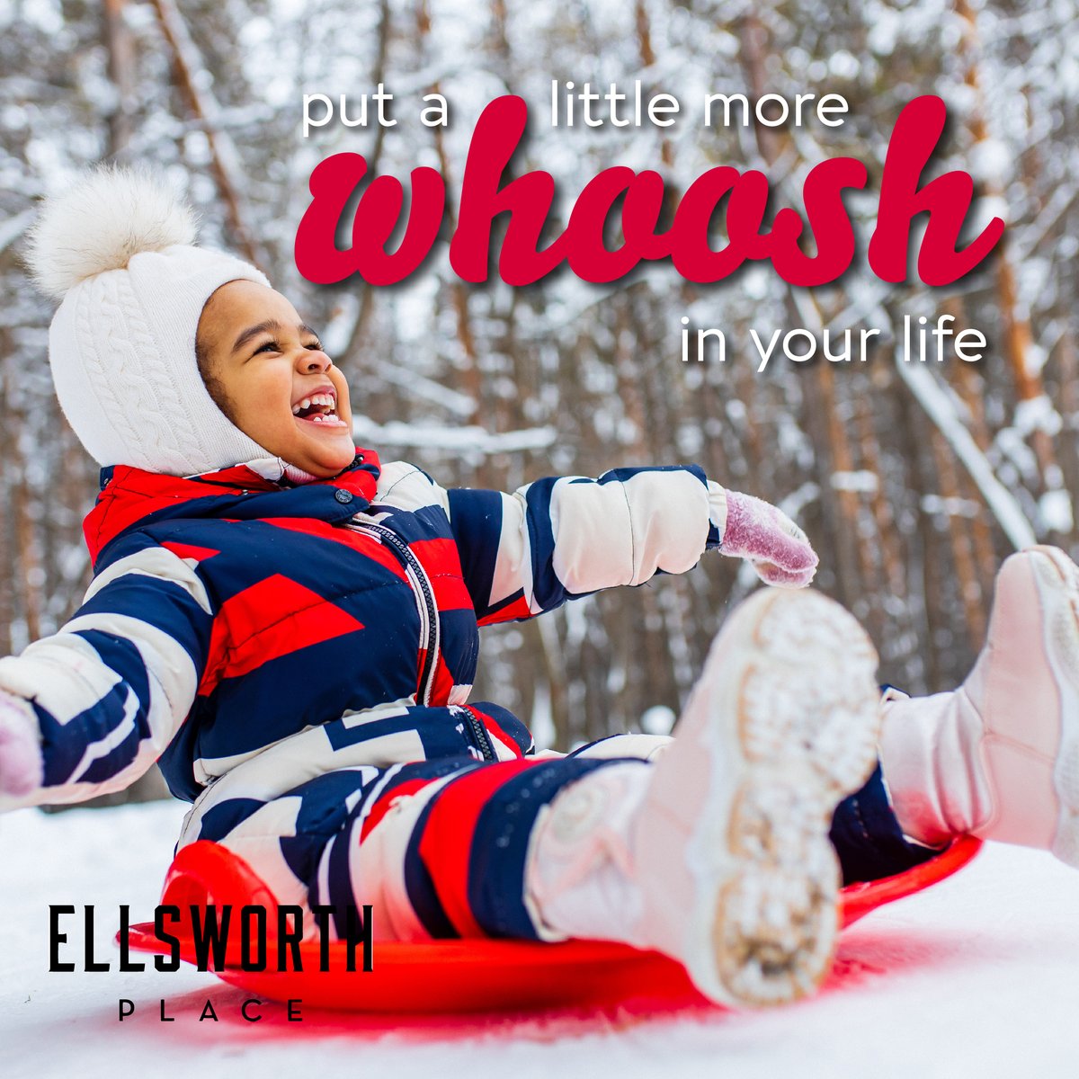 Ellsworth Place tweet media