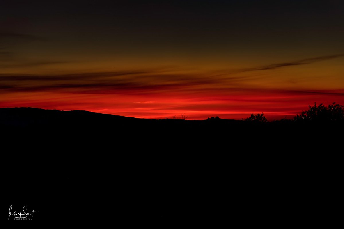 Mark Streit tweet media