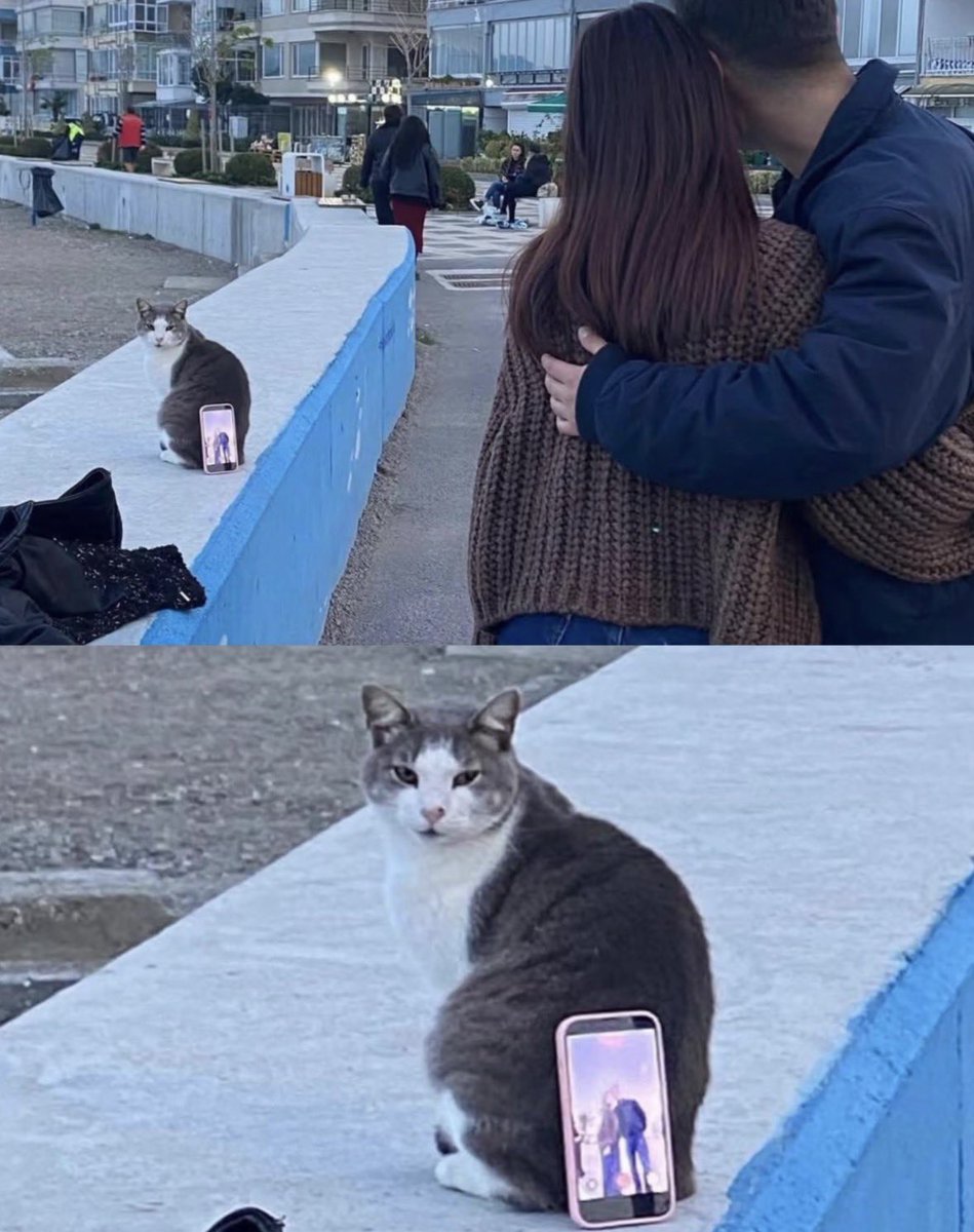 💖 (@twaniimals) on Twitter photo 